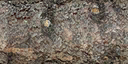 firewood1 texture from firewood1.txd (128x64 DXT1)
