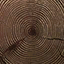 firewood2 texture from firewood1.txd (64x64 DXT1)