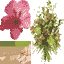 flowert texture from flowera.txd (64x64 DXT3)