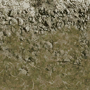 forest_rocks texture from cuntwland.txd (128x128 DXT1)