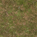forestfloor256 texture from cuntwlandcarparks.txd (256x256 DXT1)