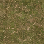 forestfloor256 texture from lodcunty.txd (64x64 DXT1)