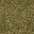 forestfloor256LOD texture from ce_lod_01.txd (32x32 DXT1)