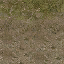 forestfloor256_blenddirt texture from cs_lod.txd (64x64 DXT1)