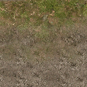 forestfloor256_blenddirt texture from cuntwland.txd (256x256 DXT1)