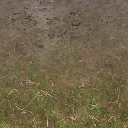 forestfloor256mudblend texture from cs_forest.txd (256x256 DXT1)