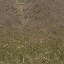 forestfloor256mudblend texture from cs_lod.txd (64x64 DXT1)
