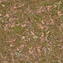 forestfloor3 texture from bigwhitesfe.txd (256x256 DXT1)