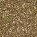 forestfloor3 texture from libertyhi.txd (128x128 XRGB32)