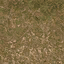 forestfloor3_forest texture from lodcunty.txd (64x64 DXT1)