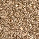 forestfloor4 texture from cuntwland.txd (256x256 DXT1)