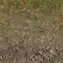 forestfloor_sones256 texture from cuntwlandwest.txd (128x128 DXT1)
