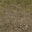 forestfloor_sones256 texture from lodcunty.txd (64x64 DXT1)