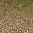 forestfloorblend texture from cs_mountain.txd (256x256 DXT1)