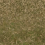 forestfloorblendded texture from cs_lod.txd (64x64 DXT1)