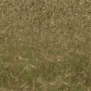 forestfloorblendded texture from cuntwlandwest.txd (128x128 DXT1)