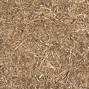 forestfloorbranch256 texture from sw_farm1.txd (256x256 DXT1)