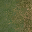 forestfloorgrassLOD texture from ce_lod_07.txd (32x32 DXT1)