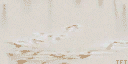 gg_sign2_sfw texture from ggatepark.txd (128x64 DXT1)