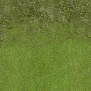 golf_fairway3 texture from vgnglfcrse1.txd (256x256 DXT1)