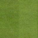 golf_greengrass texture from vgnglfcrse1.txd (128x128 DXT1)