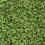 golf_hedge1 texture from rodeo05_law2.txd (64x64 DXT1)