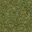 golfgrass_lod texture from laeast2_lod.txd (32x32 DXT1)