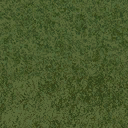 grass10_grassdeep1 texture from cuntwlandcent.txd (128x128 DXT1)