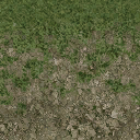 grass10_stones256 texture from cuntwlandcent.txd (128x128 DXT1)