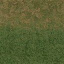 grass10forest texture from cuntwland.txd (128x128 DXT1)