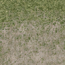 grass4_des_dirt2 texture from cs_town.txd (128x128 DXT1)