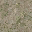 grass4dirtybLOD texture from ce_lod_02.txd (32x32 DXT1)