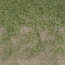 grass4dirtytrans texture from cuntwlandse.txd (128x128 DXT1)