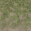 grass4dirtytrans texture from lodcunty.txd (64x64 DXT1)