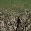 grassbrn2rockbrnG texture from lahillsground4.txd (256x256 DXT1)