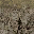 grassbrn2rockbrnLOD texture from lahillsa_lodw.txd (32x32 DXT1)