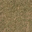 grassdead1 texture from ce_ground11.txd (256x256 DXT1)