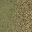 grassdead1blnd texture from lod_countn2.txd (32x32 DXT1)