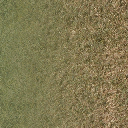 grassdead1blnd texture from richman02_lahills.txd (256x256 DXT1)