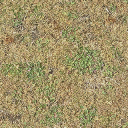 grassdeadbrn256 texture from lae2bridge.txd (256x256 DXT1)