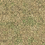 grassdeadbrn256 texture from lod_countn2.txd (64x64 DXT1)