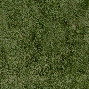 grassdeep1 texture from glenpark6d_lae.txd (256x256 DXT1)