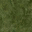 grassdeep1 texture from lodcunty.txd (32x32 DXT1)