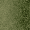 grassdeep1blnd texture from rczero_track.txd (128x128 XRGB32)