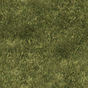 grassdeep2 texture from stadium_lae2.txd (128x128 DXT1)