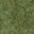grassdeep256 texture from lodcunty.txd (32x32 DXT1)