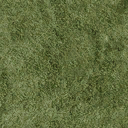 grassdeep256 texture from sunset02_law2.txd (128x128 DXT1)