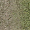 grassdirtblend texture from compomark_lae2.txd (128x128 DXT1)