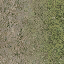 grassdirtblend texture from lodcunty.txd (64x64 DXT1)