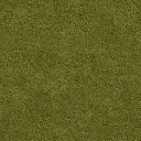 grassdry_128HV texture from airportdetail.txd (128x128 DXT1)
